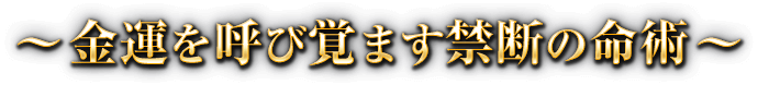 ～金運を呼び覚ます禁断の命術