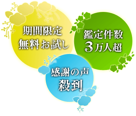 サービスの概要